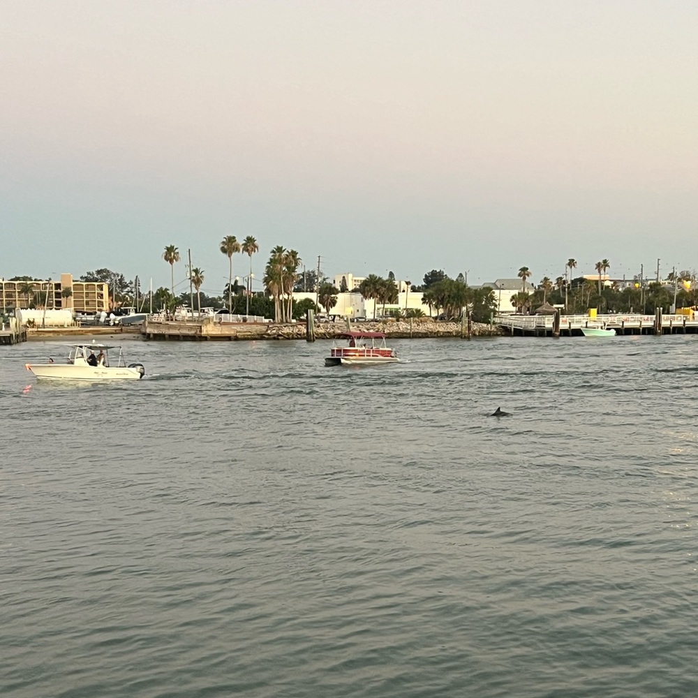 Meet your Posher, Camaya